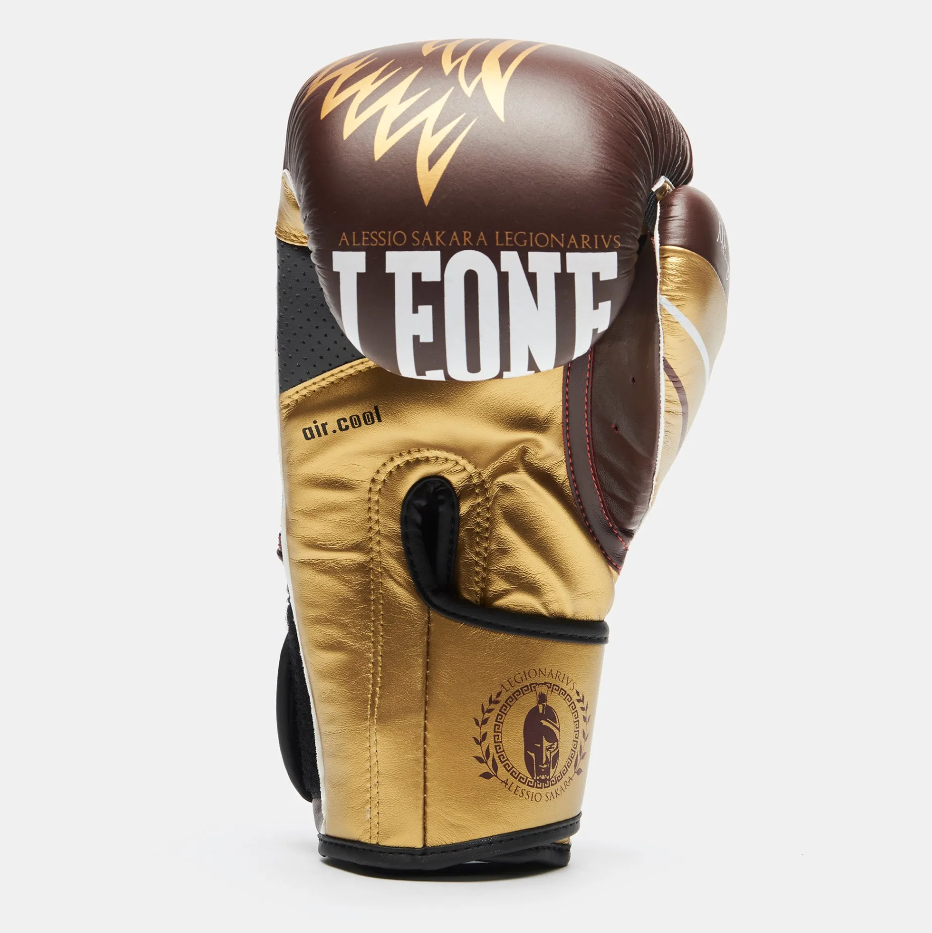 LEGIONARIVS BOXING GLOVES