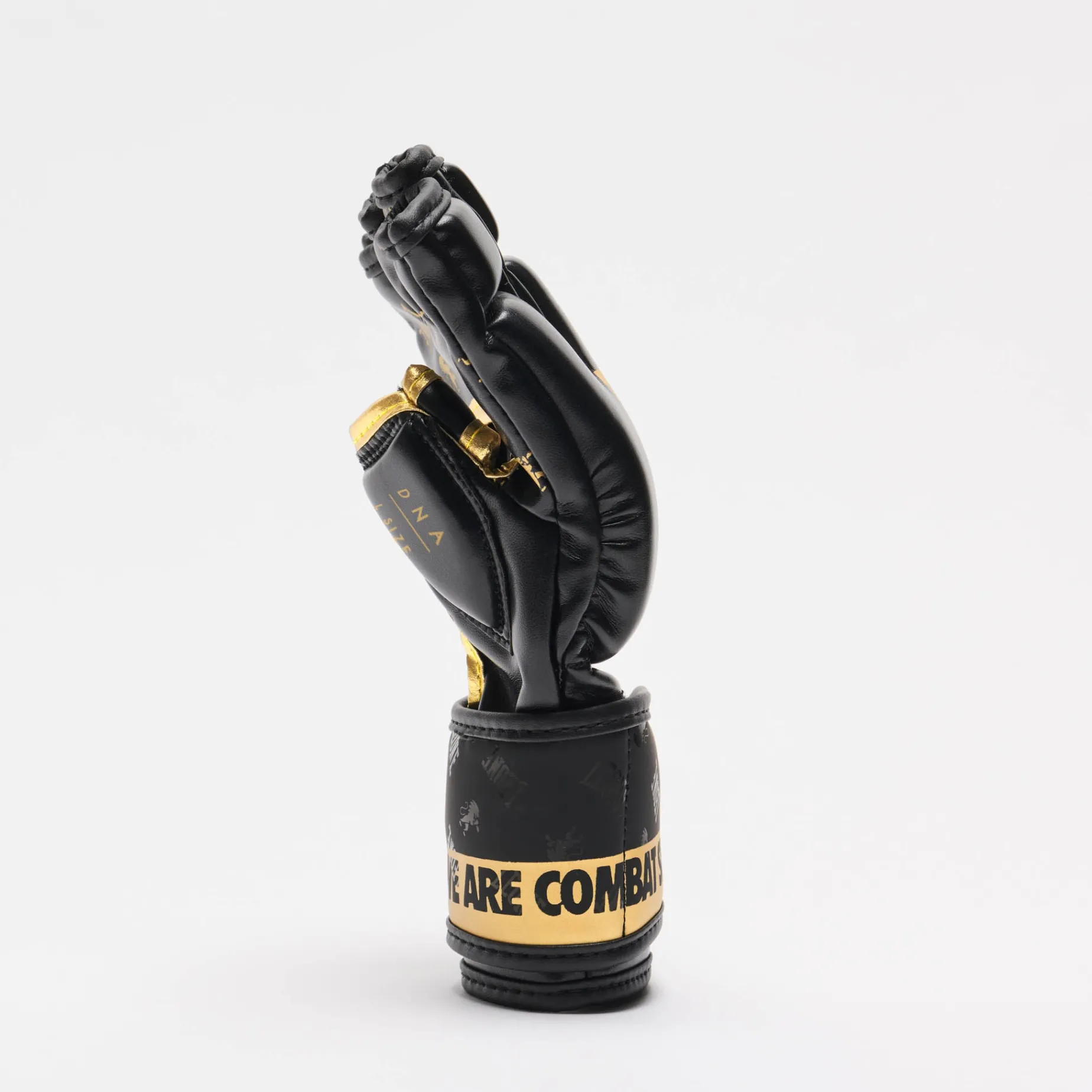 MMA GLOVES DNA