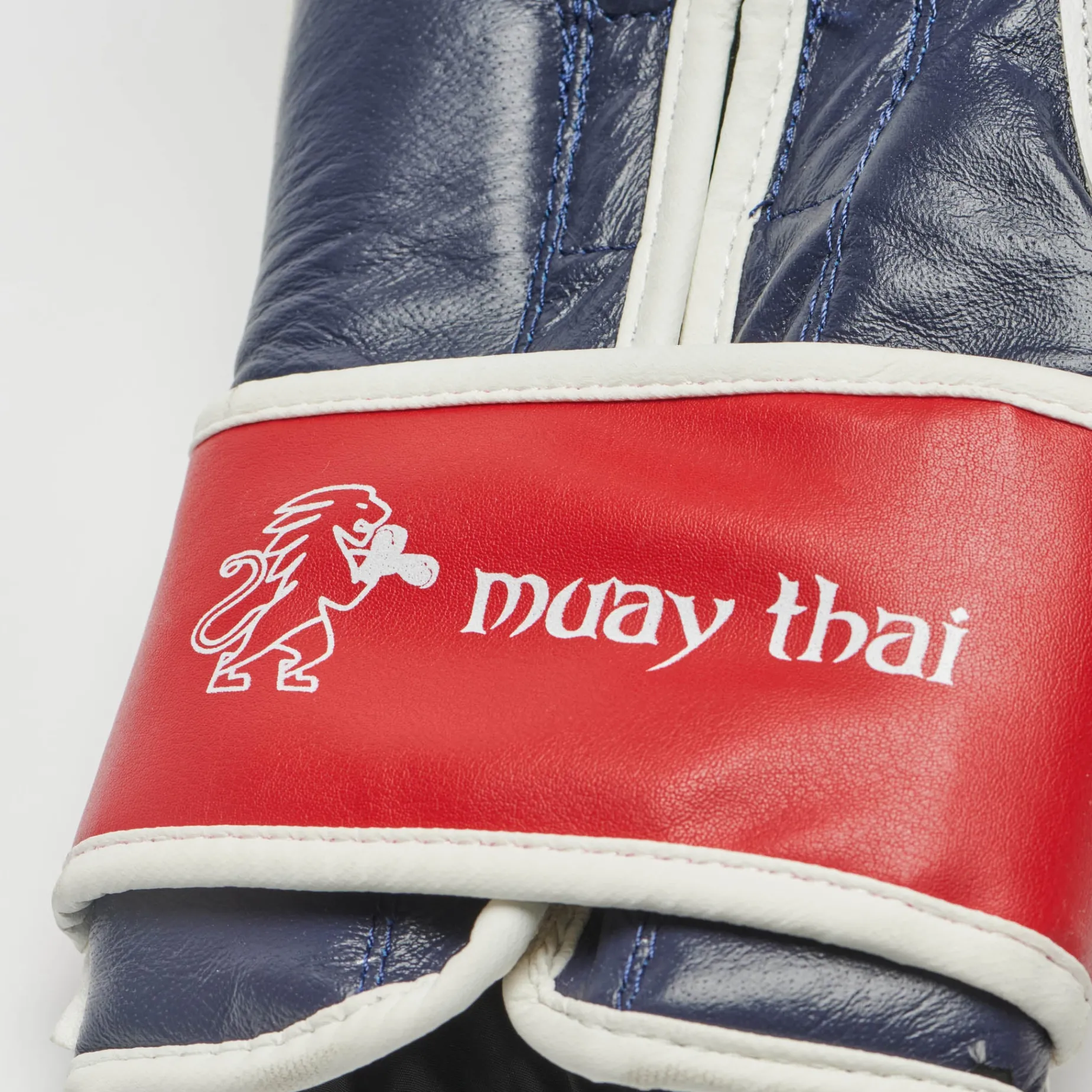 Muay Thai Boxing Gloves