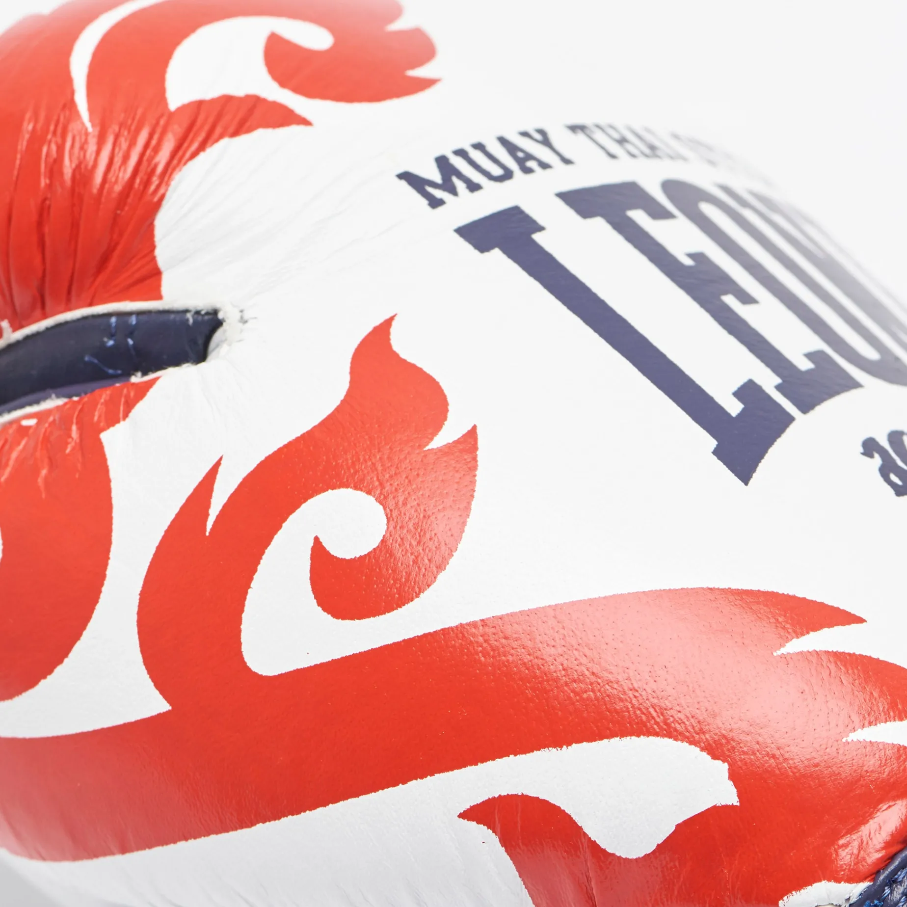 Muay Thai Boxing Gloves