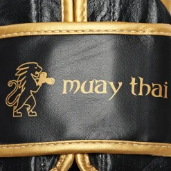 Muay Thai Boxing Gloves