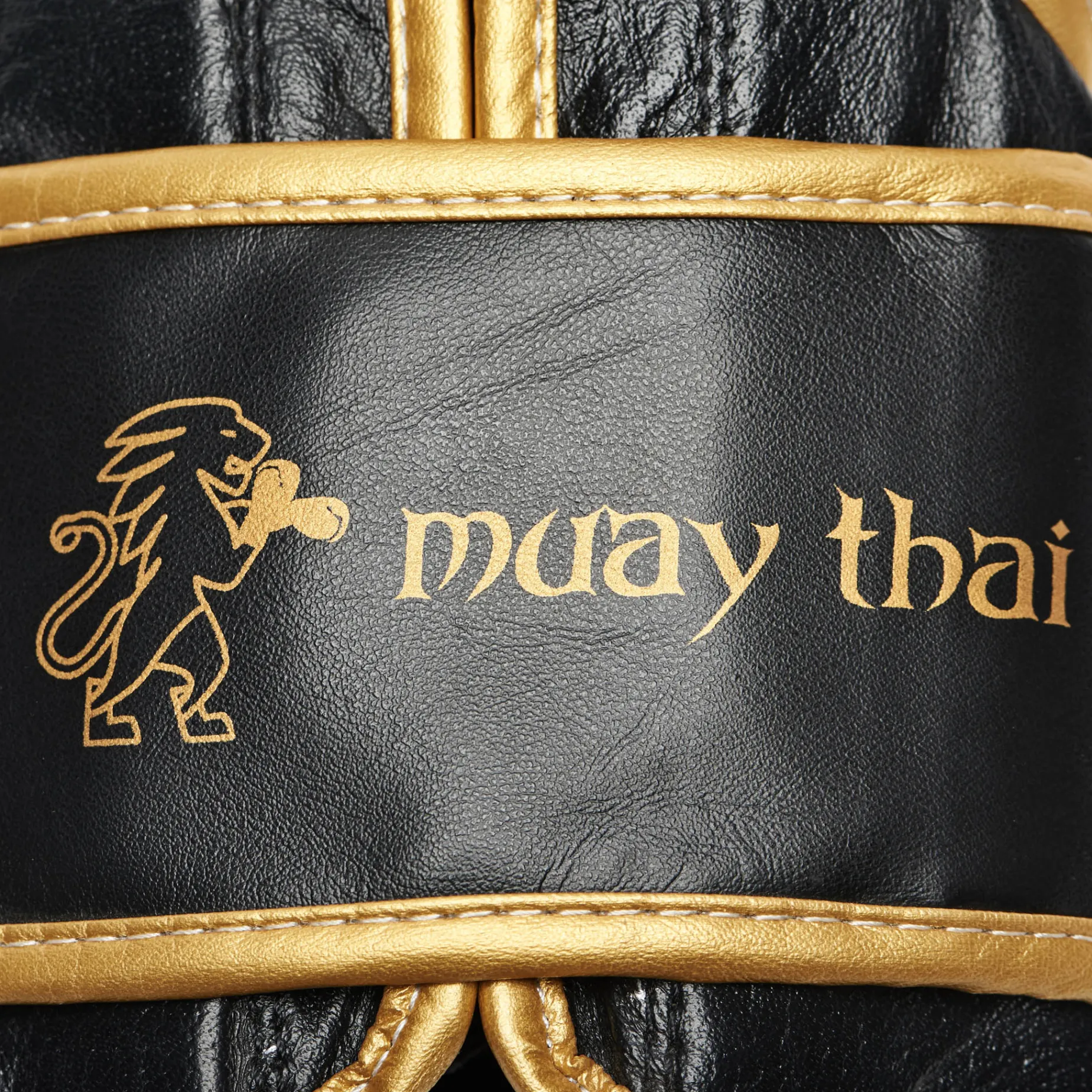 Muay Thai Boxing Gloves