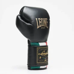 ORLANDO TRICOLORE BOXING GLOVES VELCRO
