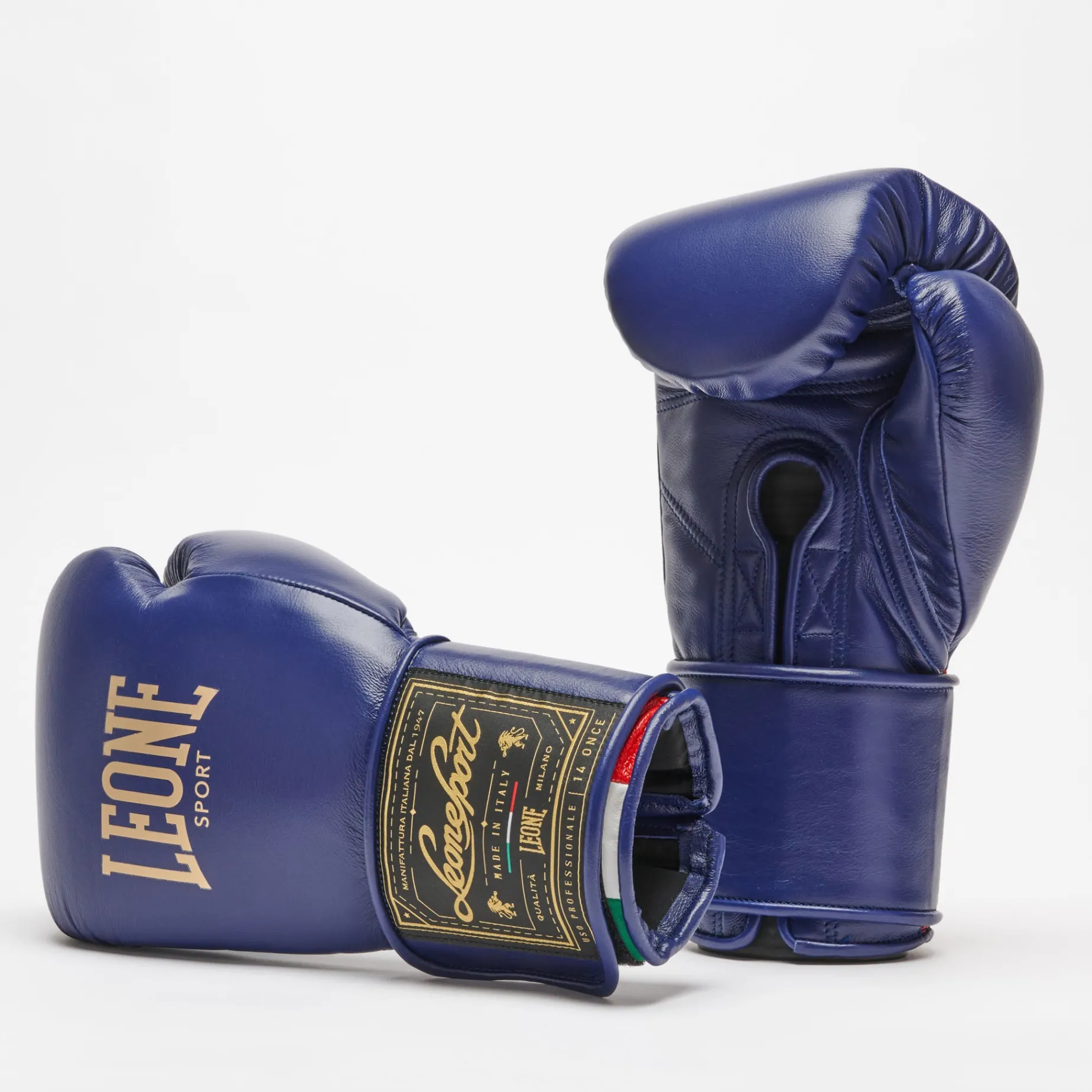 ORLANDO TRICOLORE BOXING GLOVES VELCRO