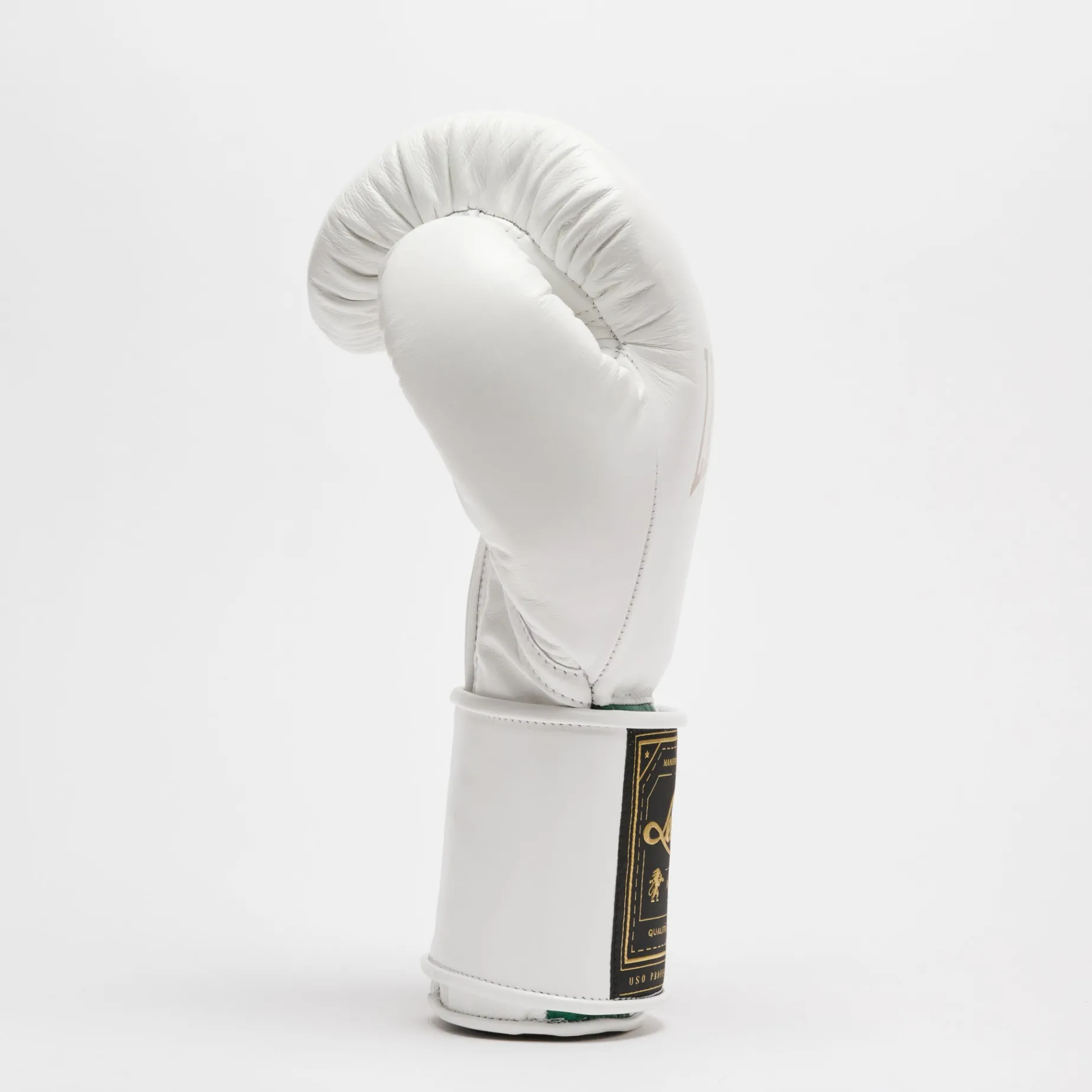 ORLANDO TRICOLORE BOXING GLOVES VELCRO