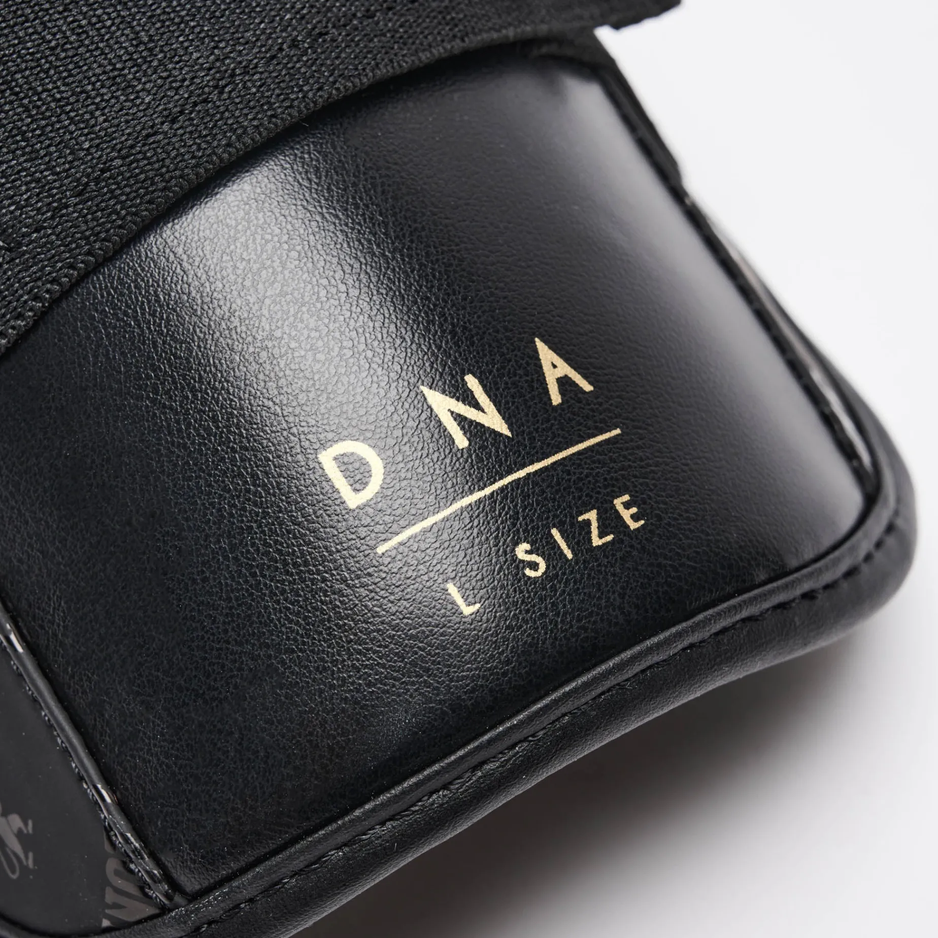 PARATIBIA DNA