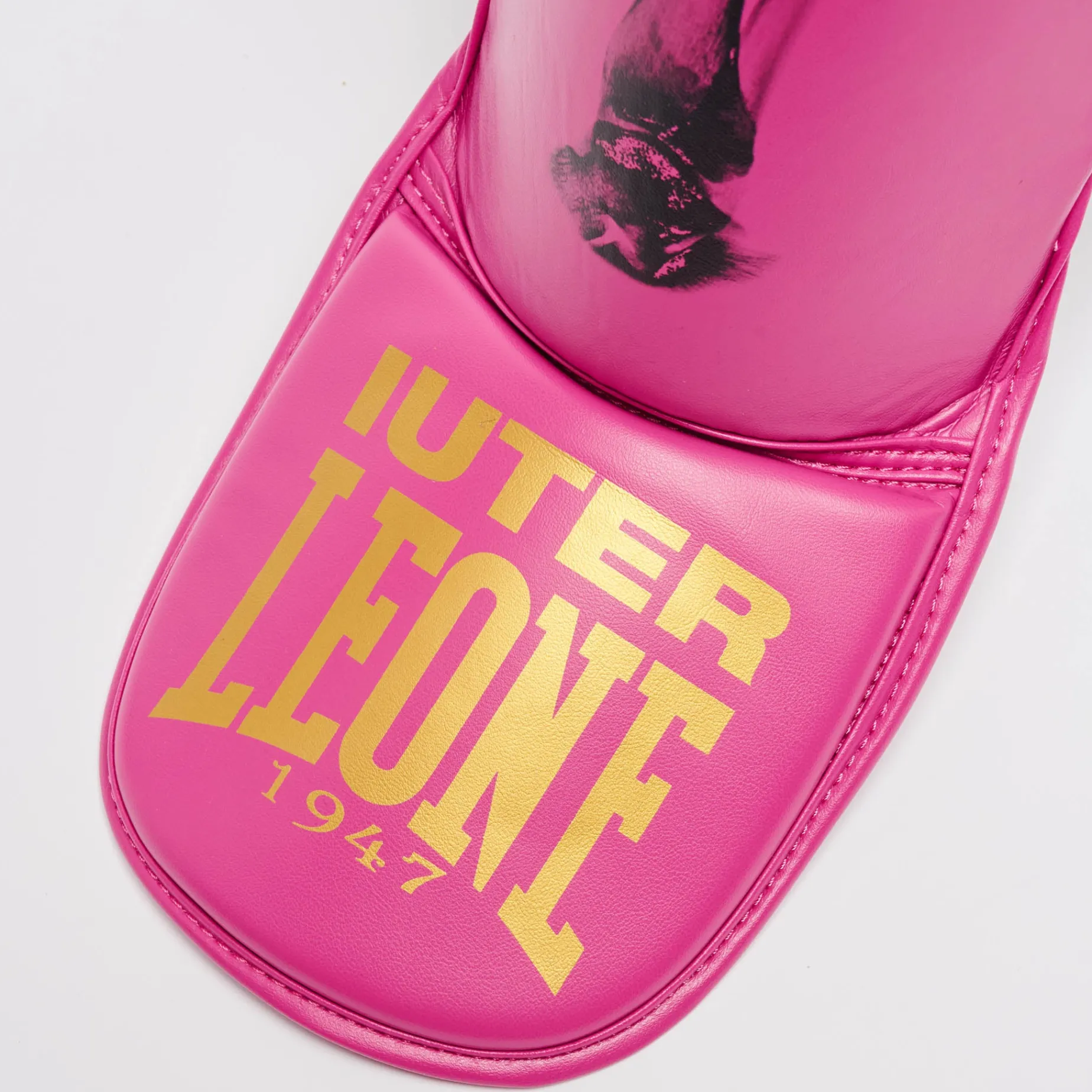 PARATIBIA LEONE X IUTER