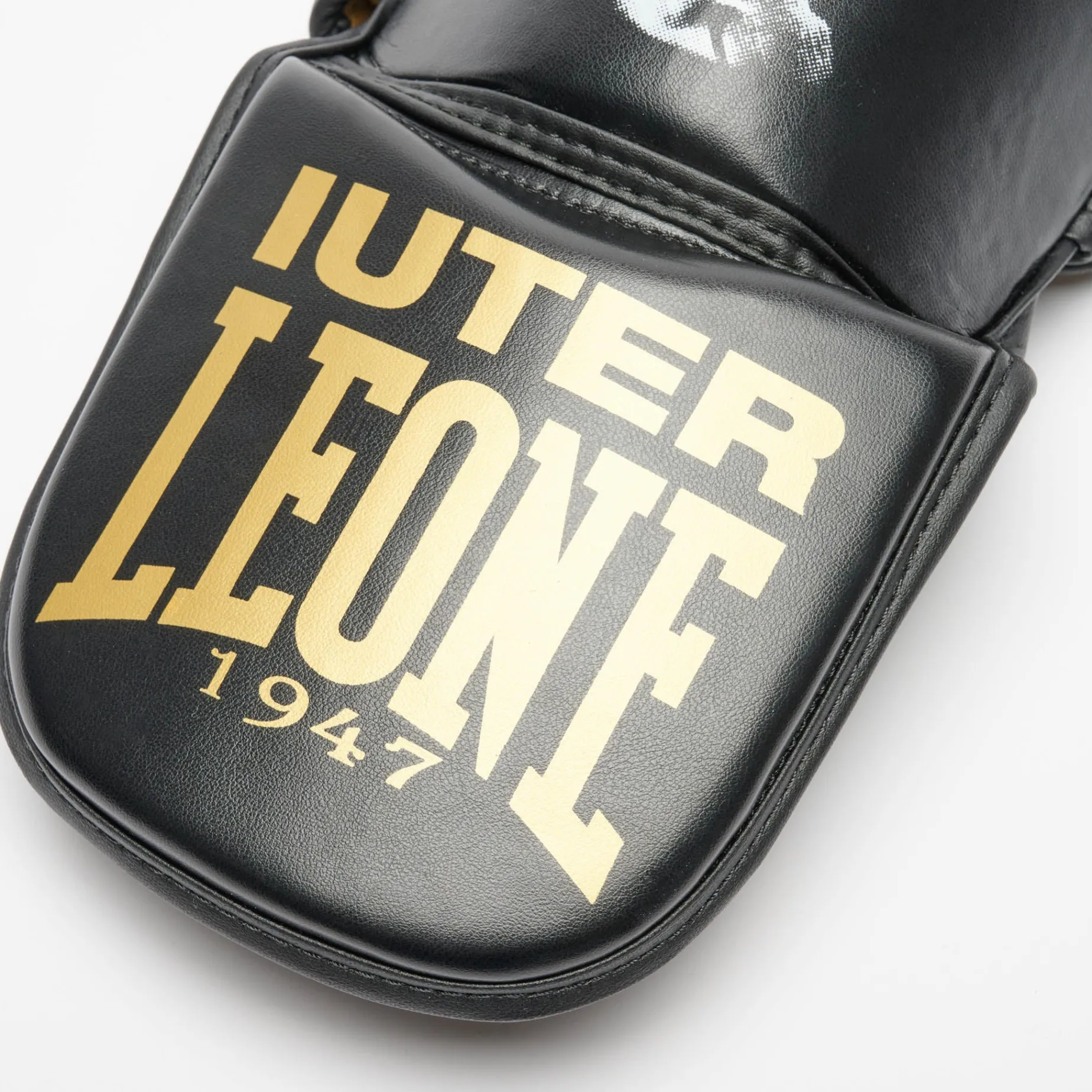 PARATIBIA LEONE X IUTER