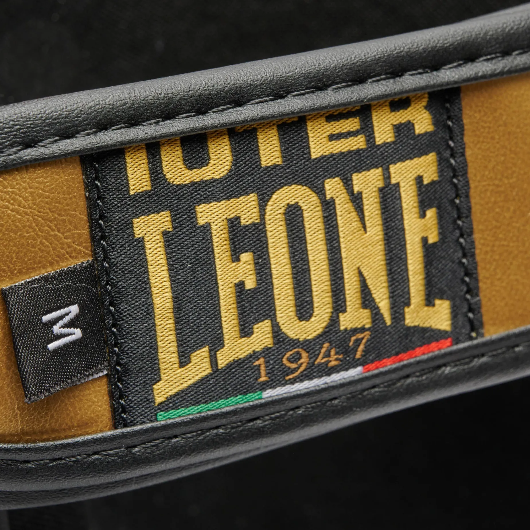 PARATIBIA LEONE X IUTER