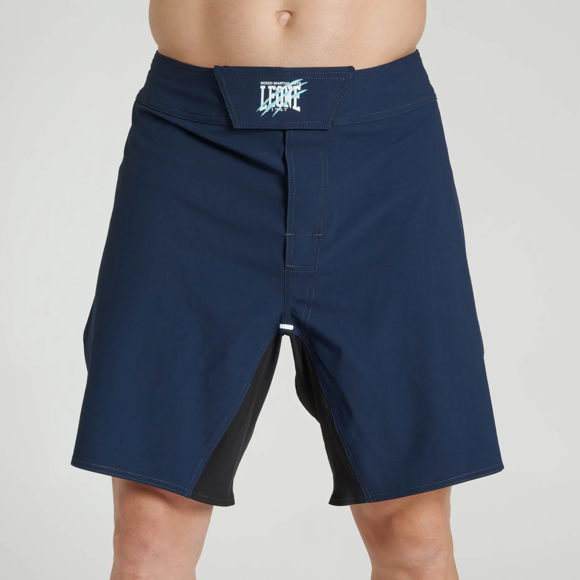 PRIMAL INSTINCT MMA shorts