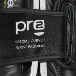 PROFESSIONAL 2 BOXING GLOVES