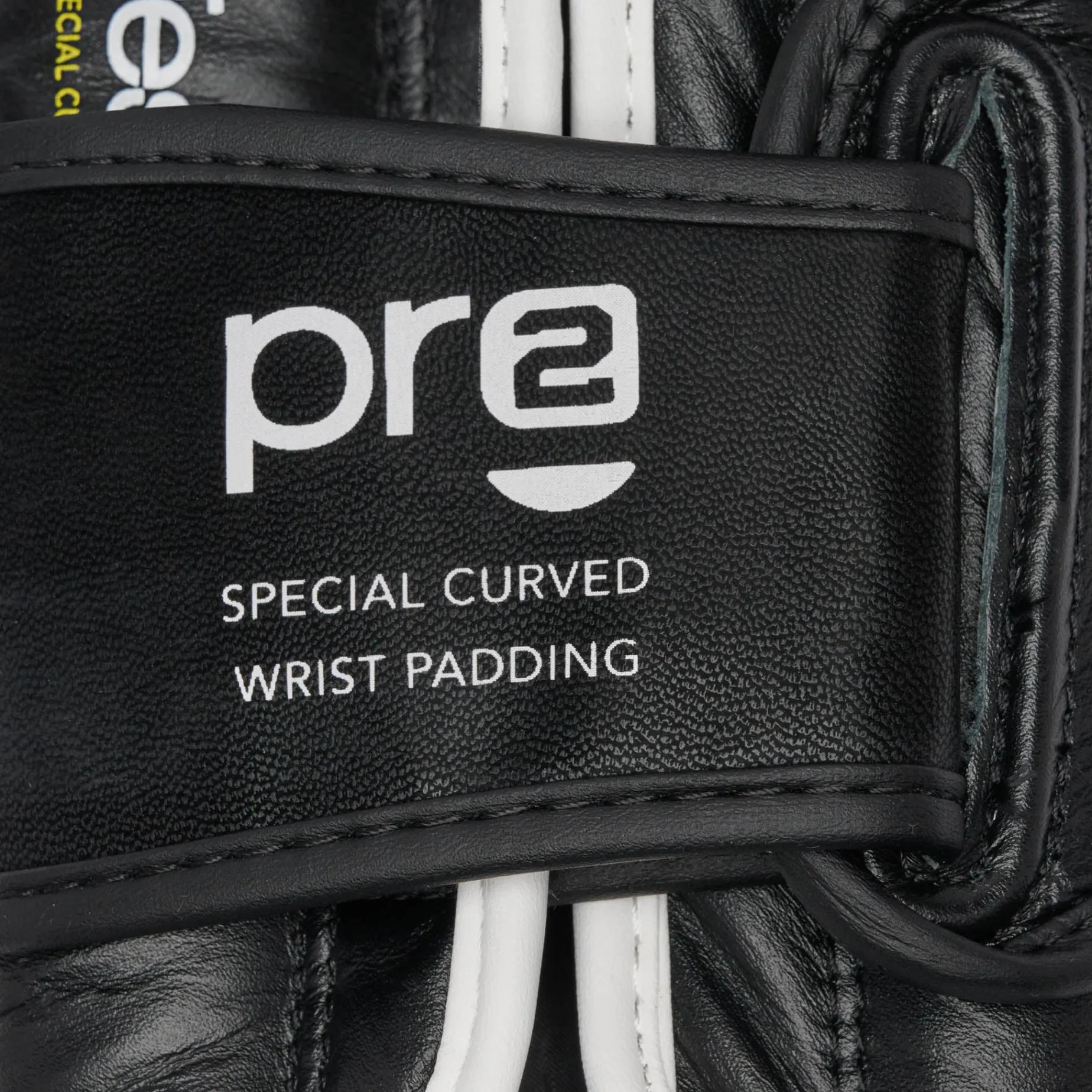PROFESSIONAL 2 BOXING GLOVES