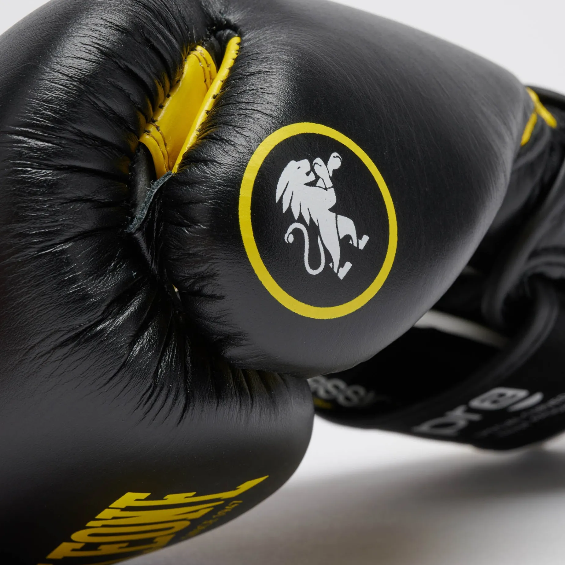 PROFESSIONAL 2 BOXING GLOVES
