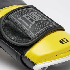 PROFESSIONAL 2 BOXING GLOVES