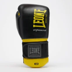 PROFESSIONAL 2 BOXING GLOVES