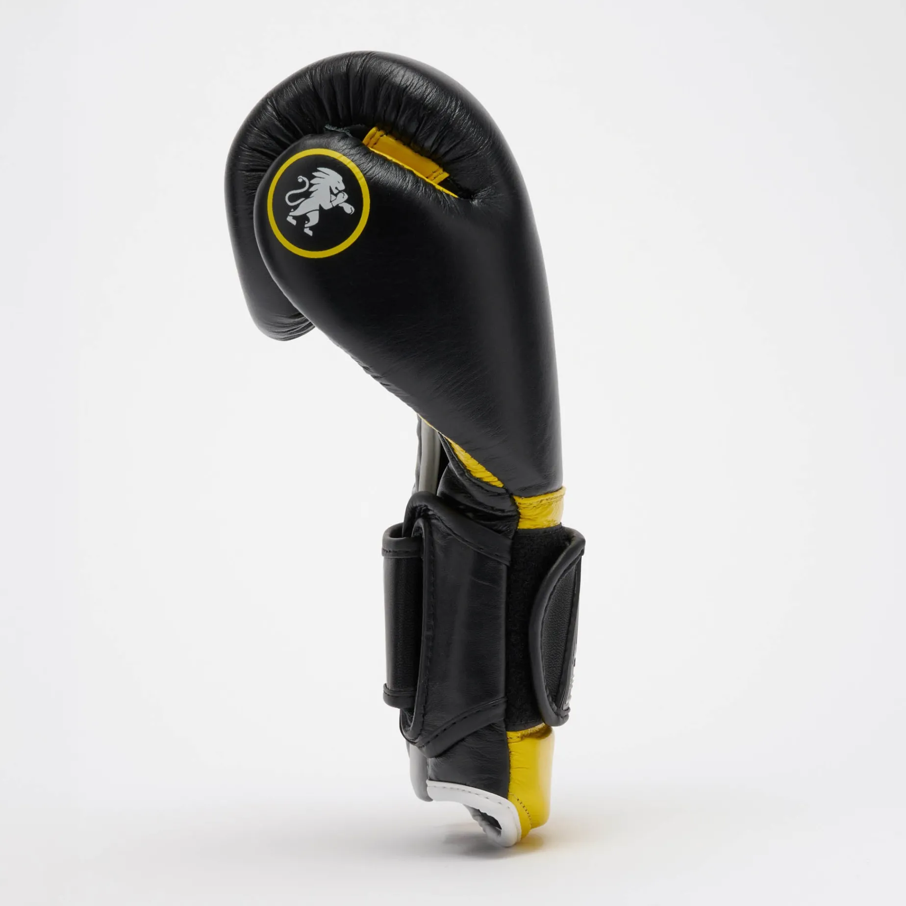 PROFESSIONAL 2 BOXING GLOVES