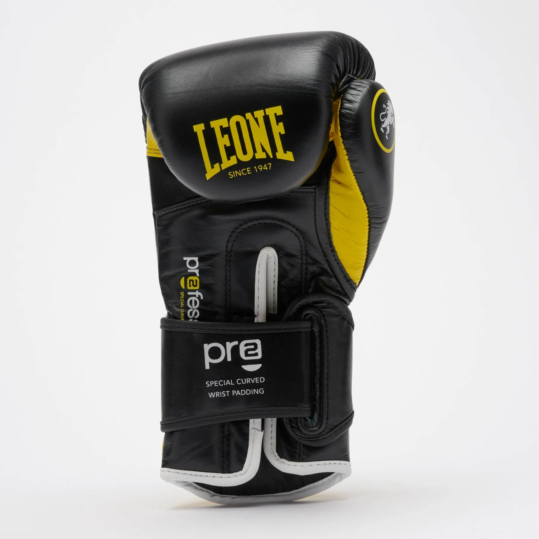 PROFESSIONAL 2 BOXING GLOVES