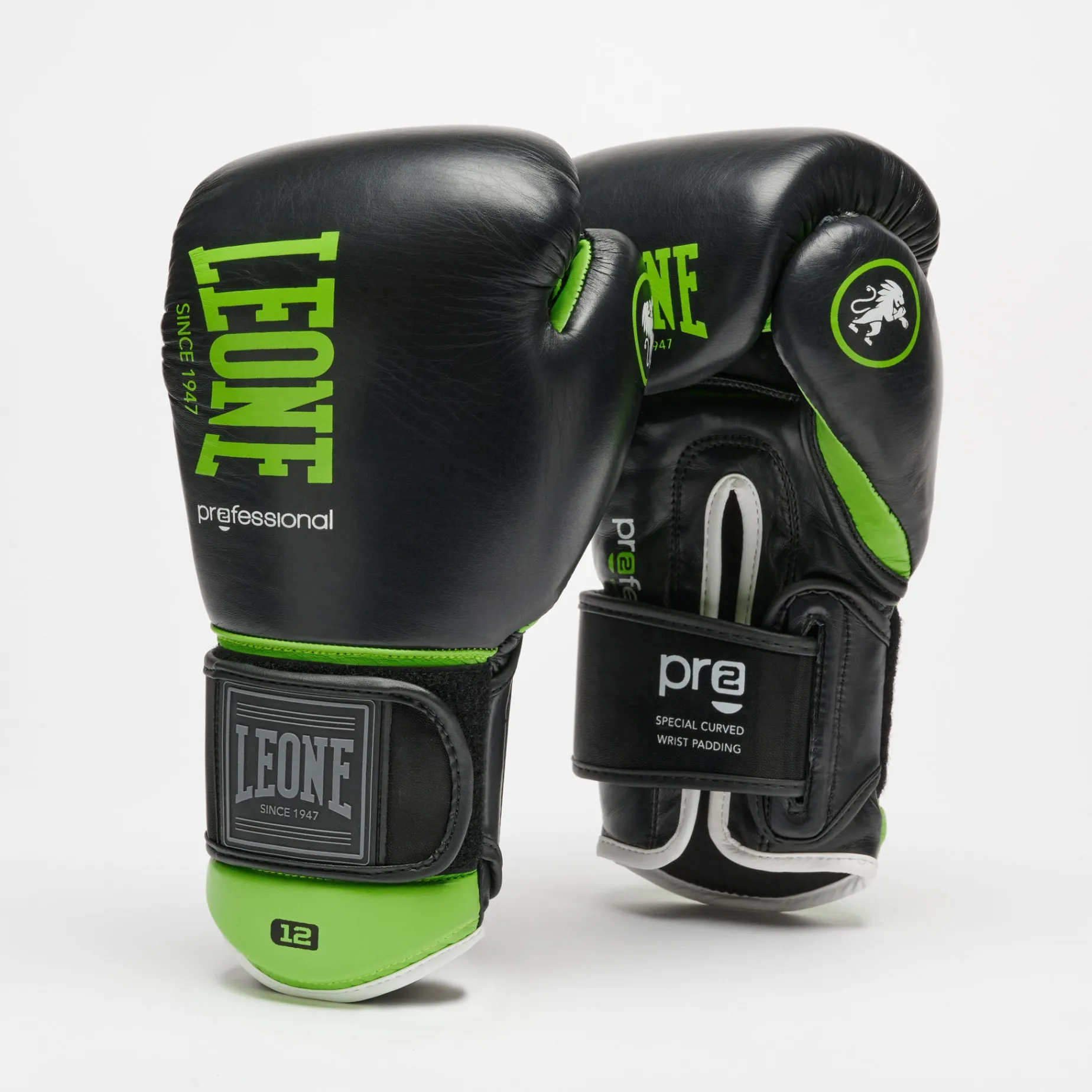 PROFESSIONAL 2 BOXING GLOVES