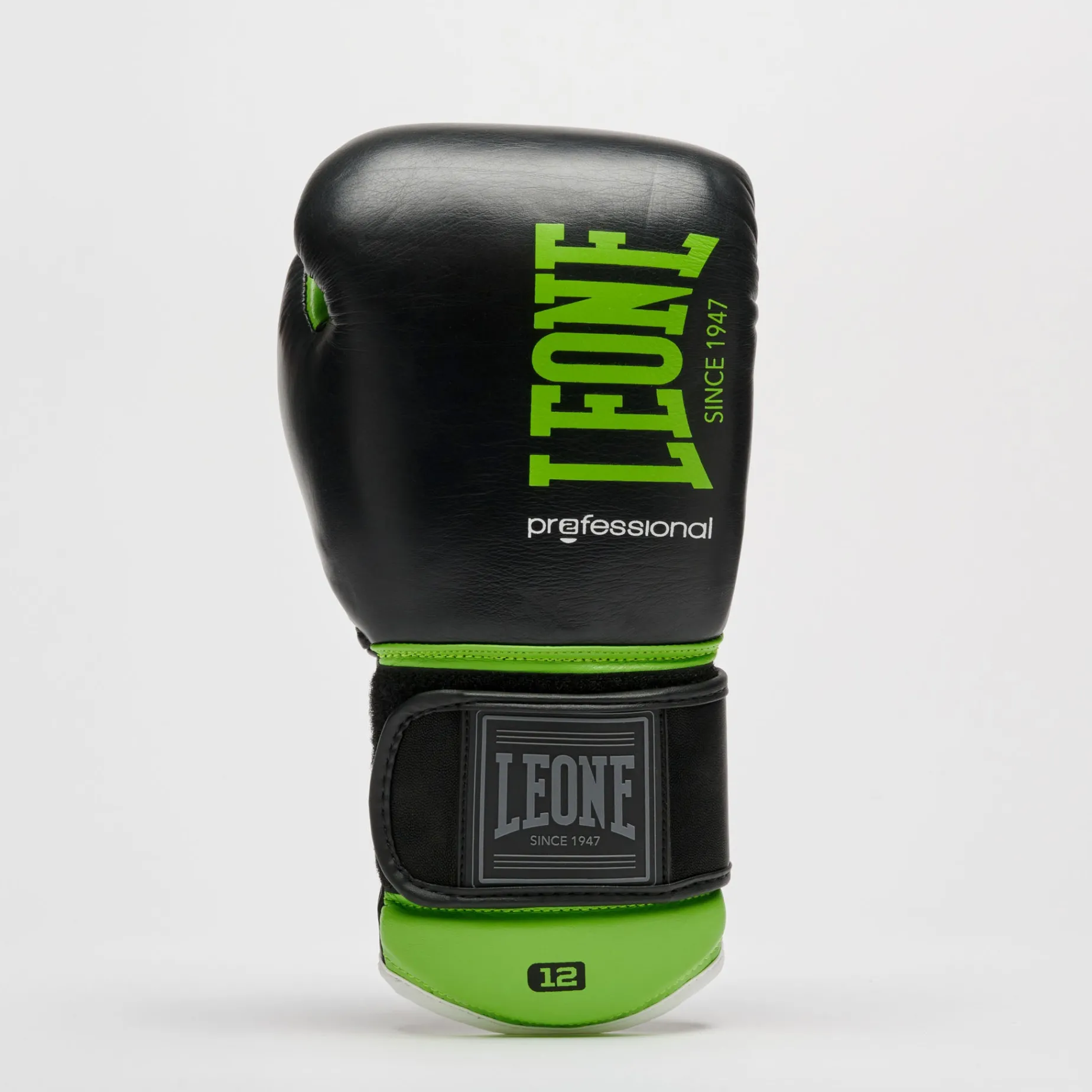 PROFESSIONAL 2 BOXING GLOVES