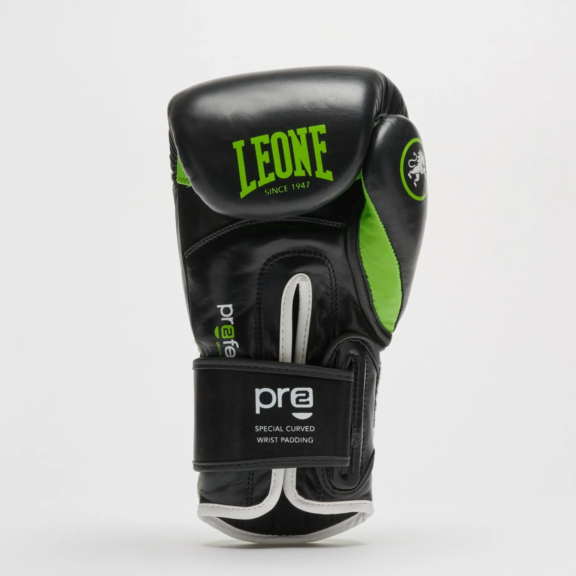 PROFESSIONAL 2 BOXING GLOVES