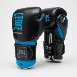 PROFESSIONAL 2 BOXING GLOVES
