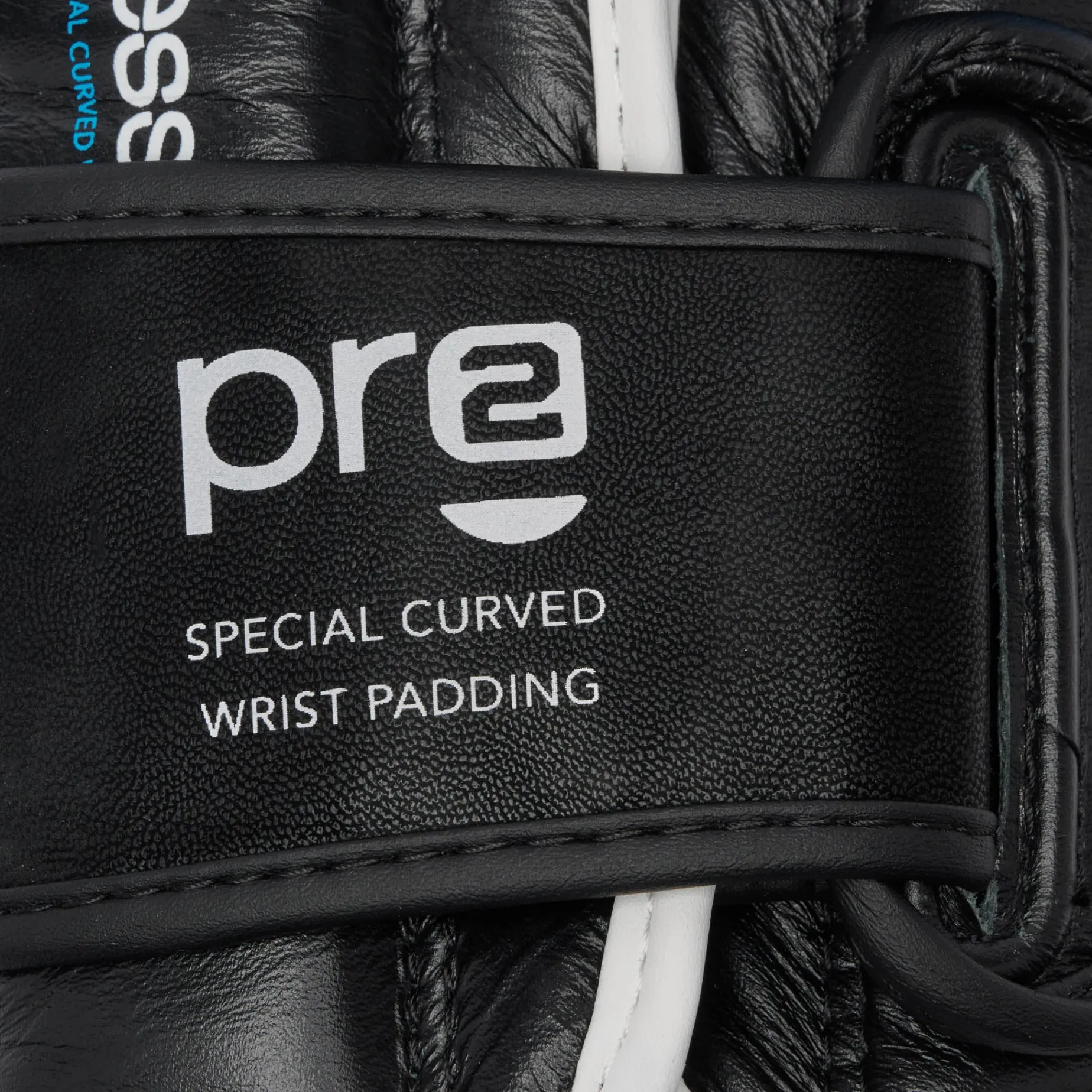 PROFESSIONAL 2 BOXING GLOVES