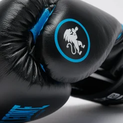 PROFESSIONAL 2 BOXING GLOVES