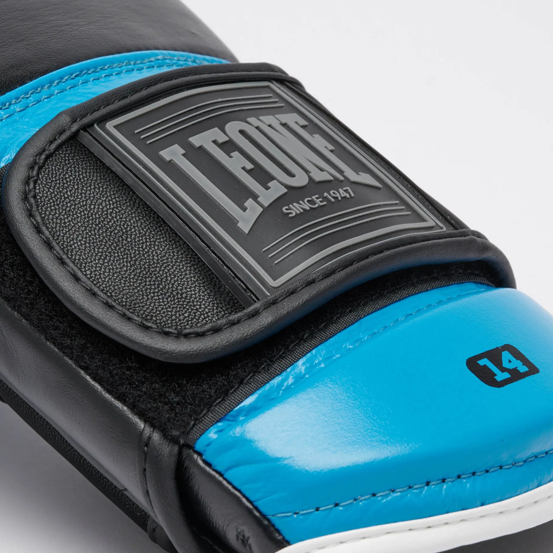 PROFESSIONAL 2 BOXING GLOVES