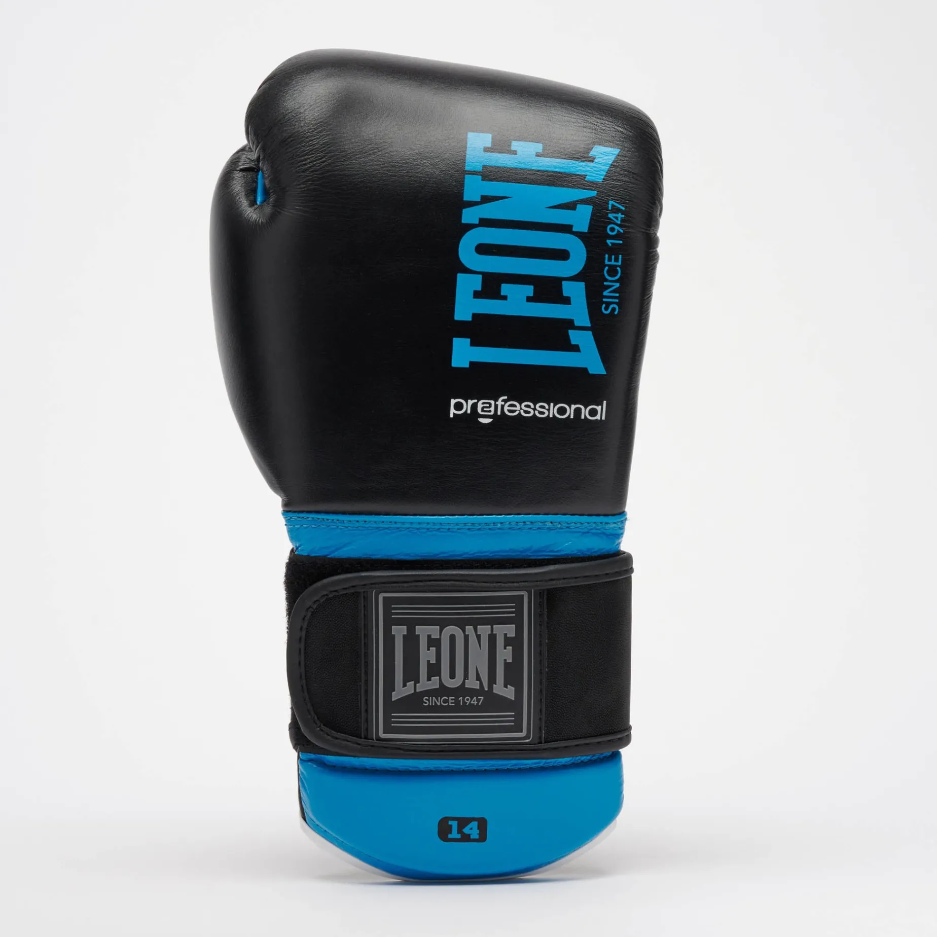 PROFESSIONAL 2 BOXING GLOVES