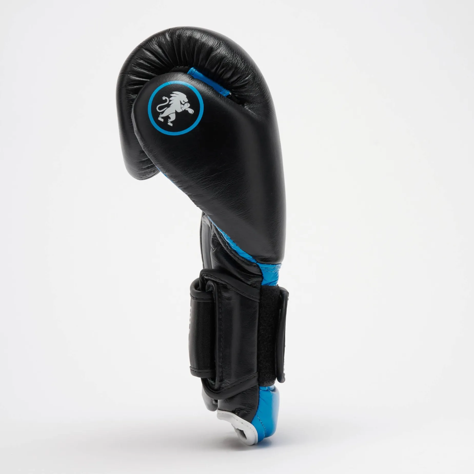 PROFESSIONAL 2 BOXING GLOVES