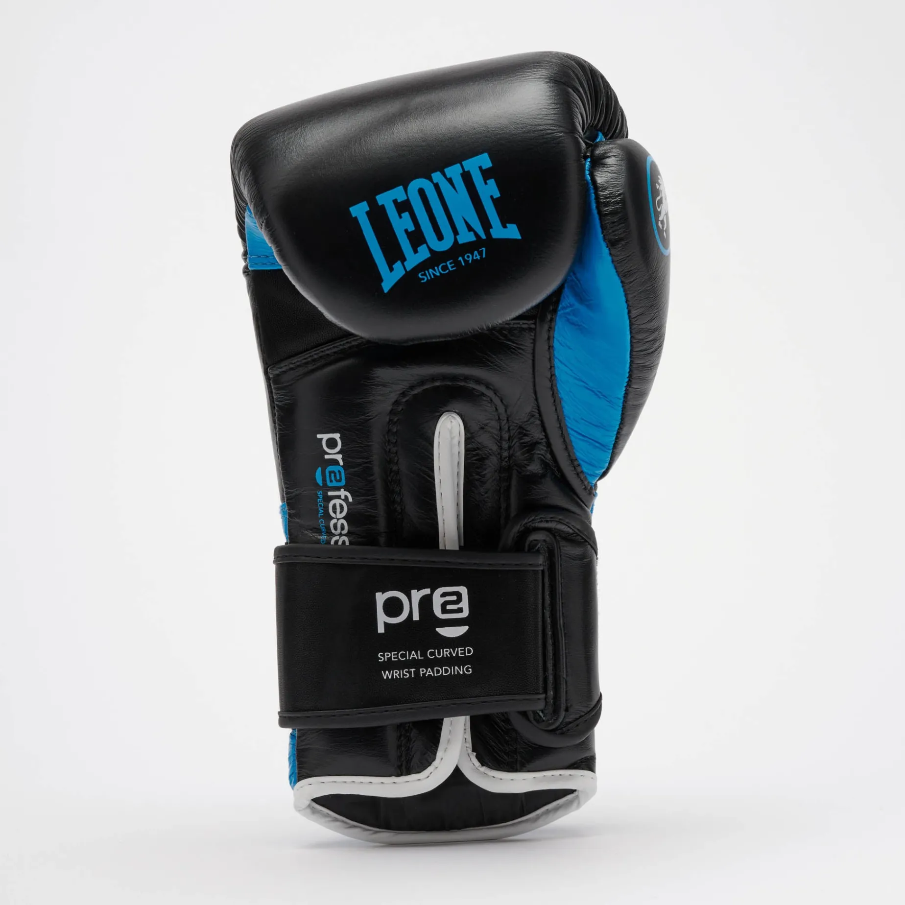 PROFESSIONAL 2 BOXING GLOVES