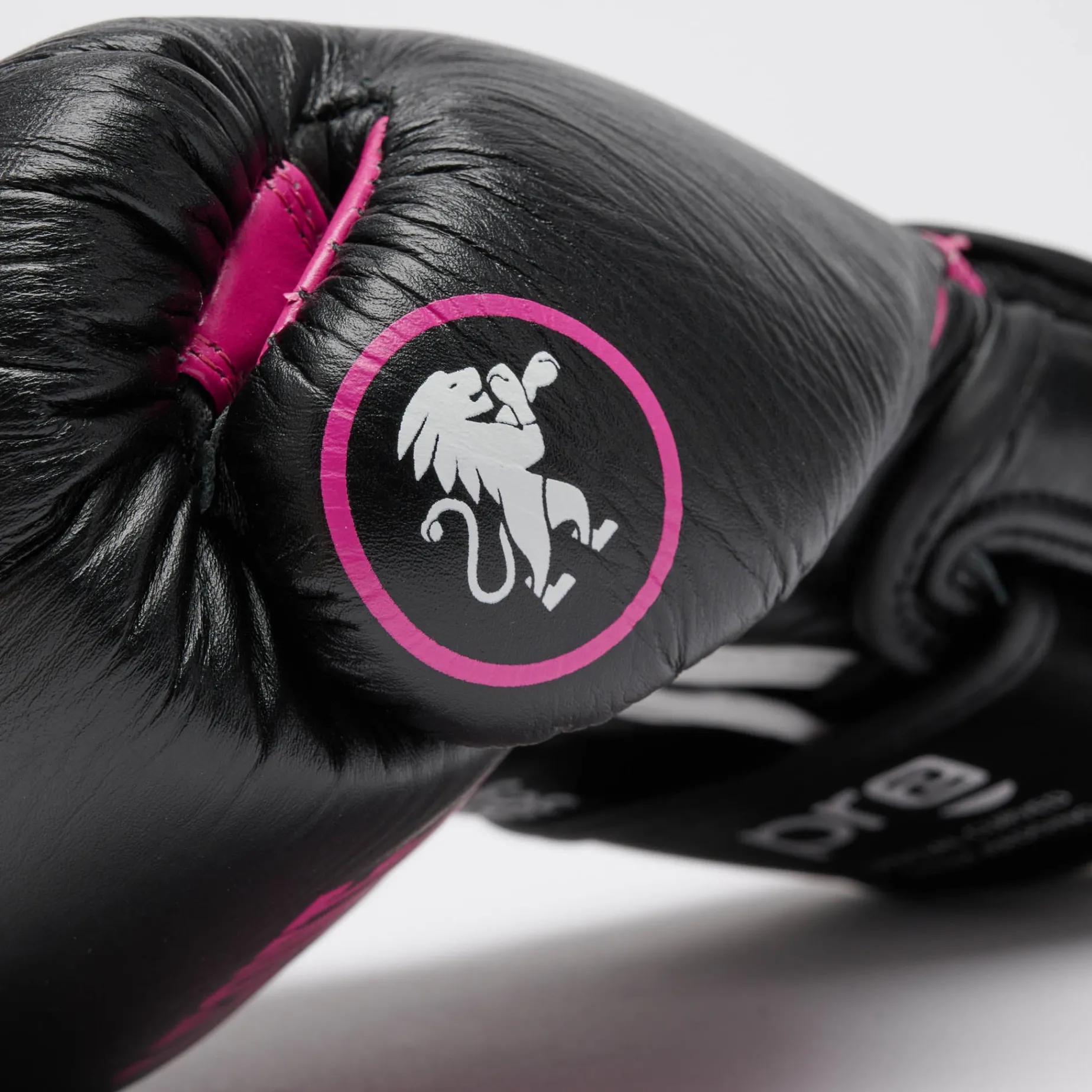 PROFESSIONAL 2 BOXING GLOVES