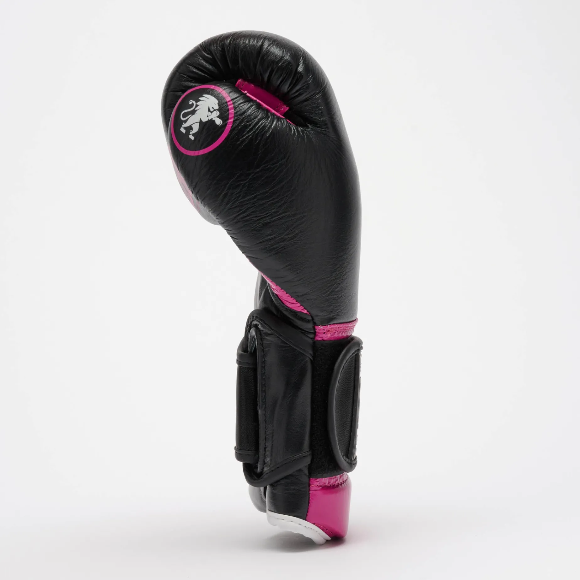 PROFESSIONAL 2 BOXING GLOVES