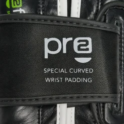 PROFESSIONAL 2 BOXING GLOVES