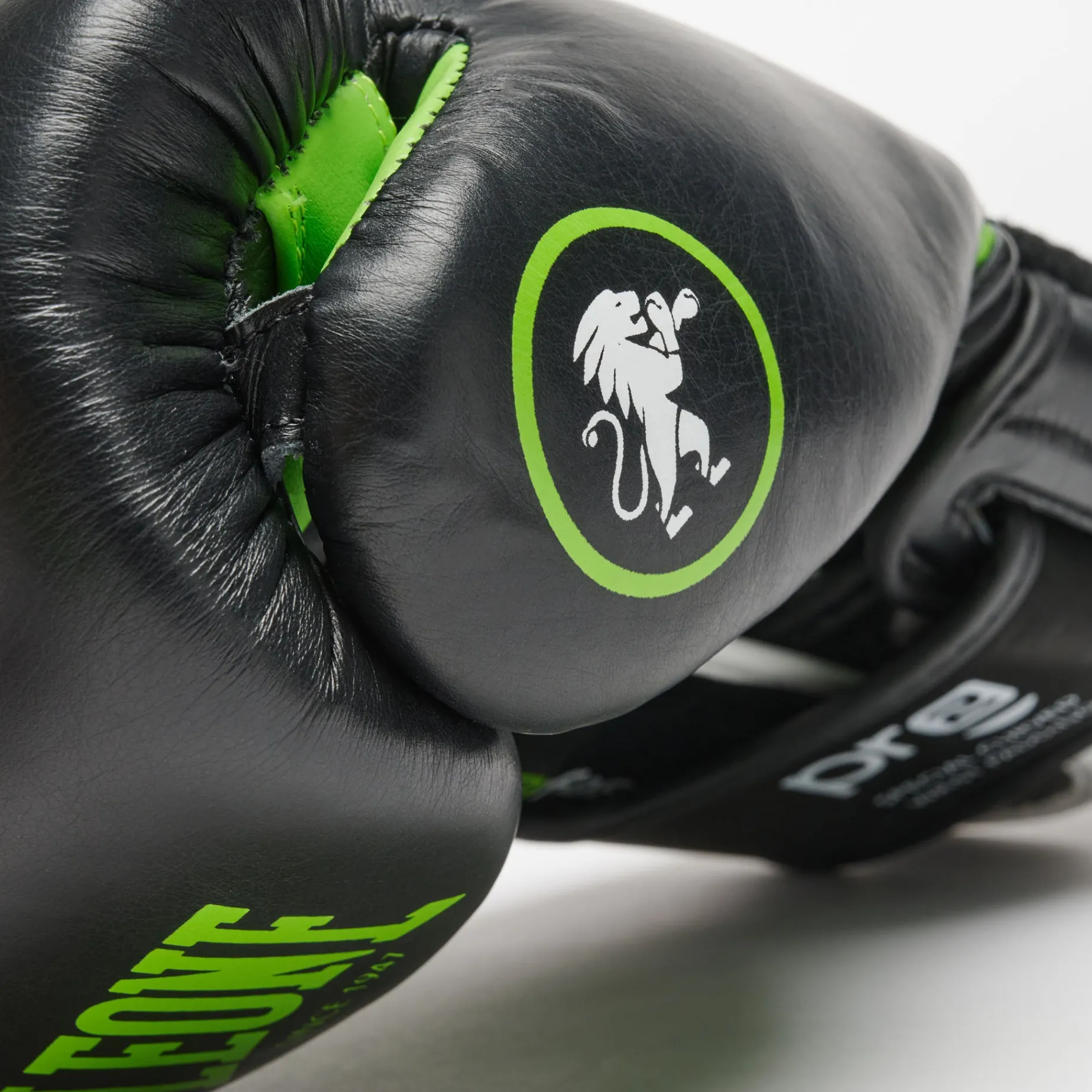 PROFESSIONAL 2 BOXING GLOVES