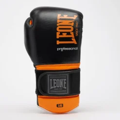 PROFESSIONAL 2 BOXING GLOVES