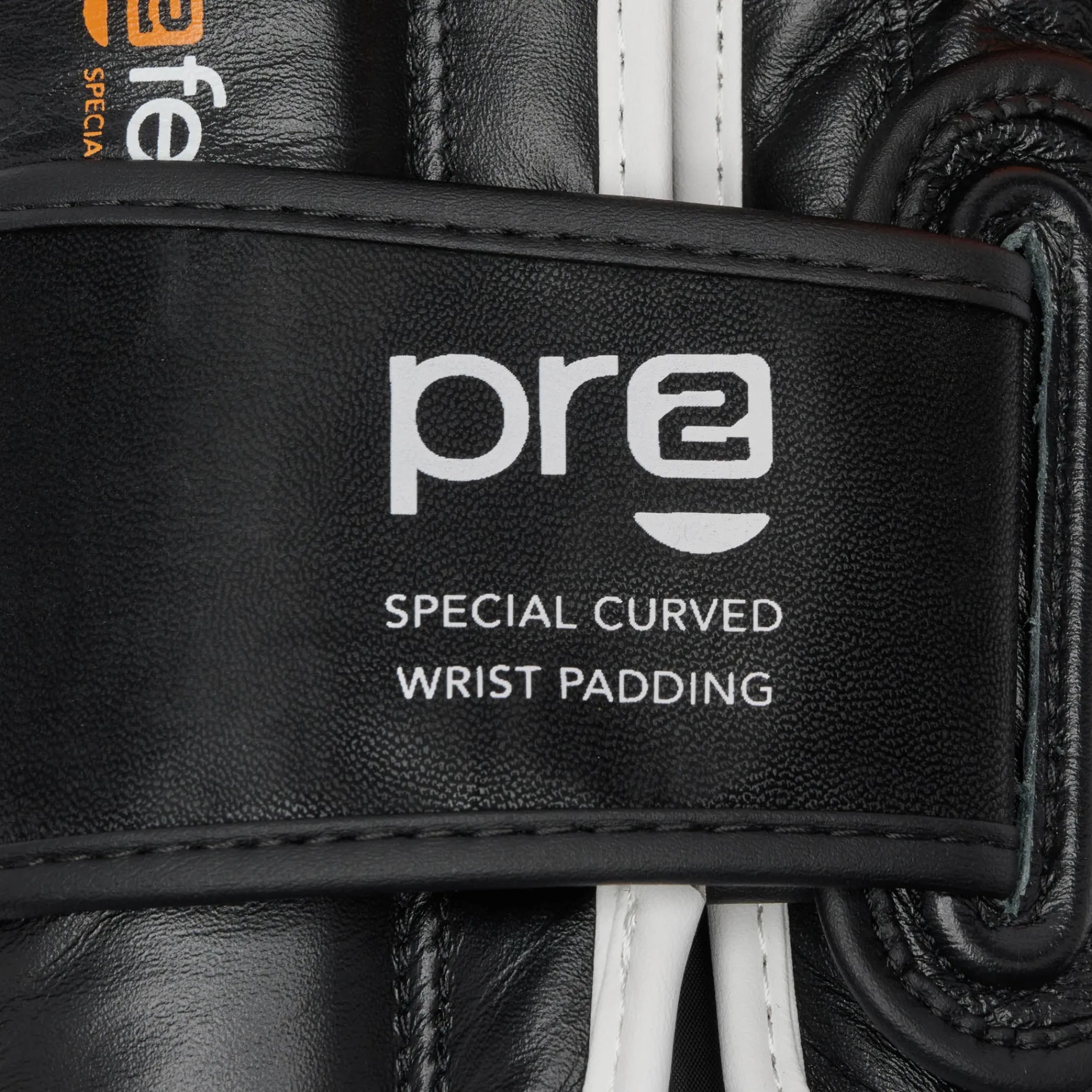 PROFESSIONAL 2 BOXING GLOVES