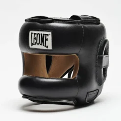 PROTECTION Headgear