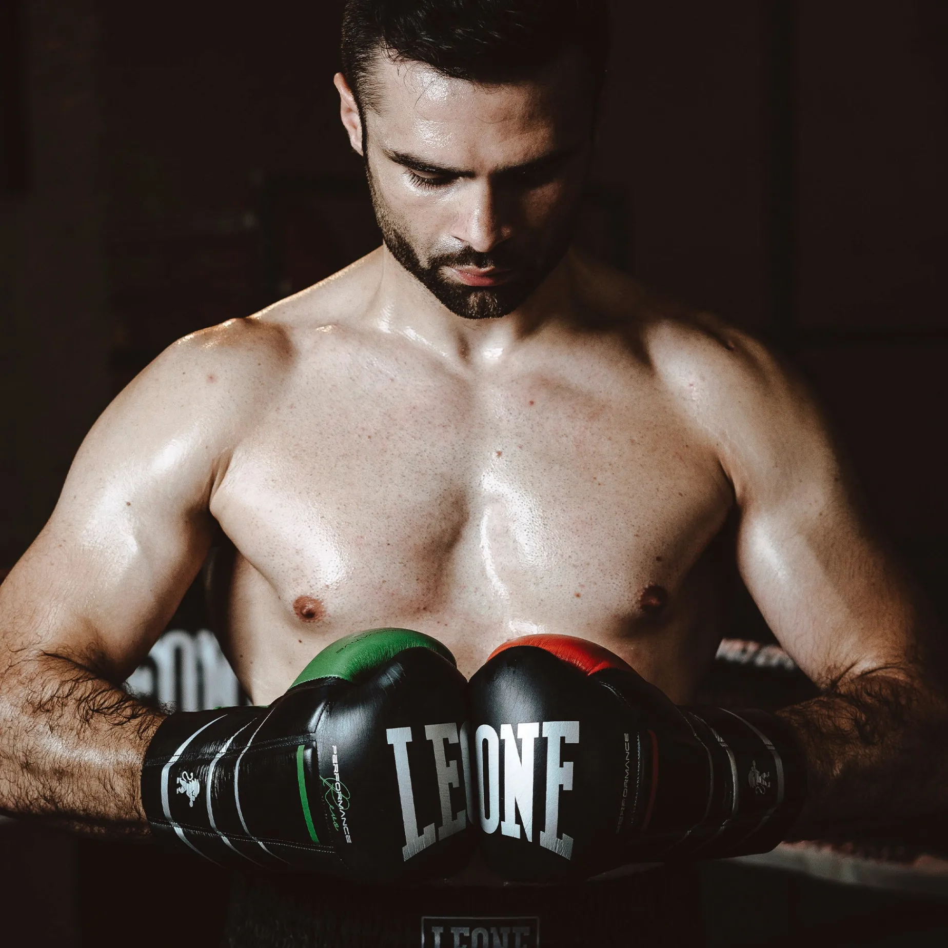 REVO PERFORMANCE BOXING GLOVES