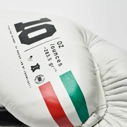 SHOCK PLUS BOXING GLOVES
