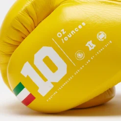 SHOCK PLUS BOXING GLOVES
