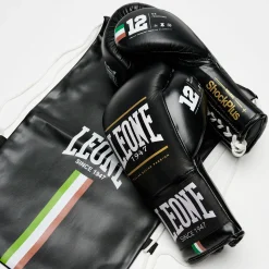 SHOCK PLUS BOXING GLOVES