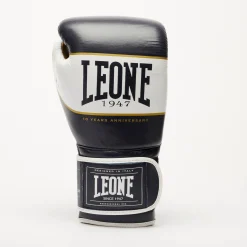 SHOCK X BOXING GLOVES