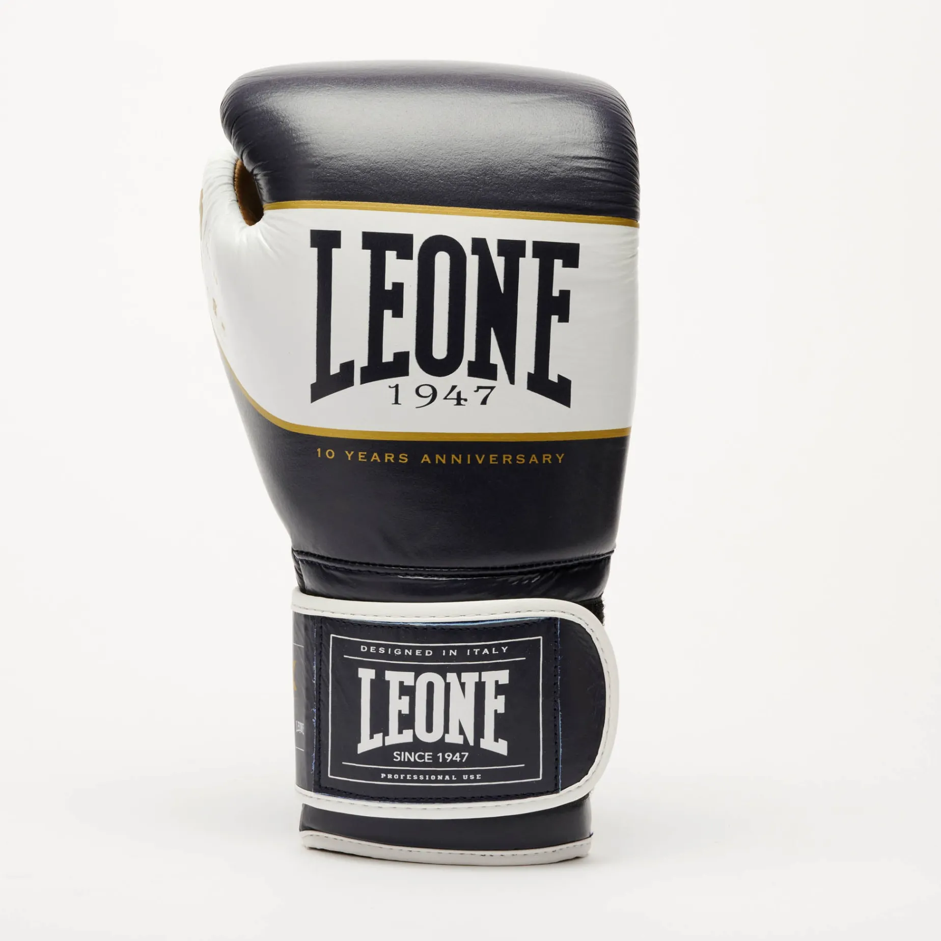 SHOCK X BOXING GLOVES