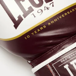 SHOCK X BOXING GLOVES