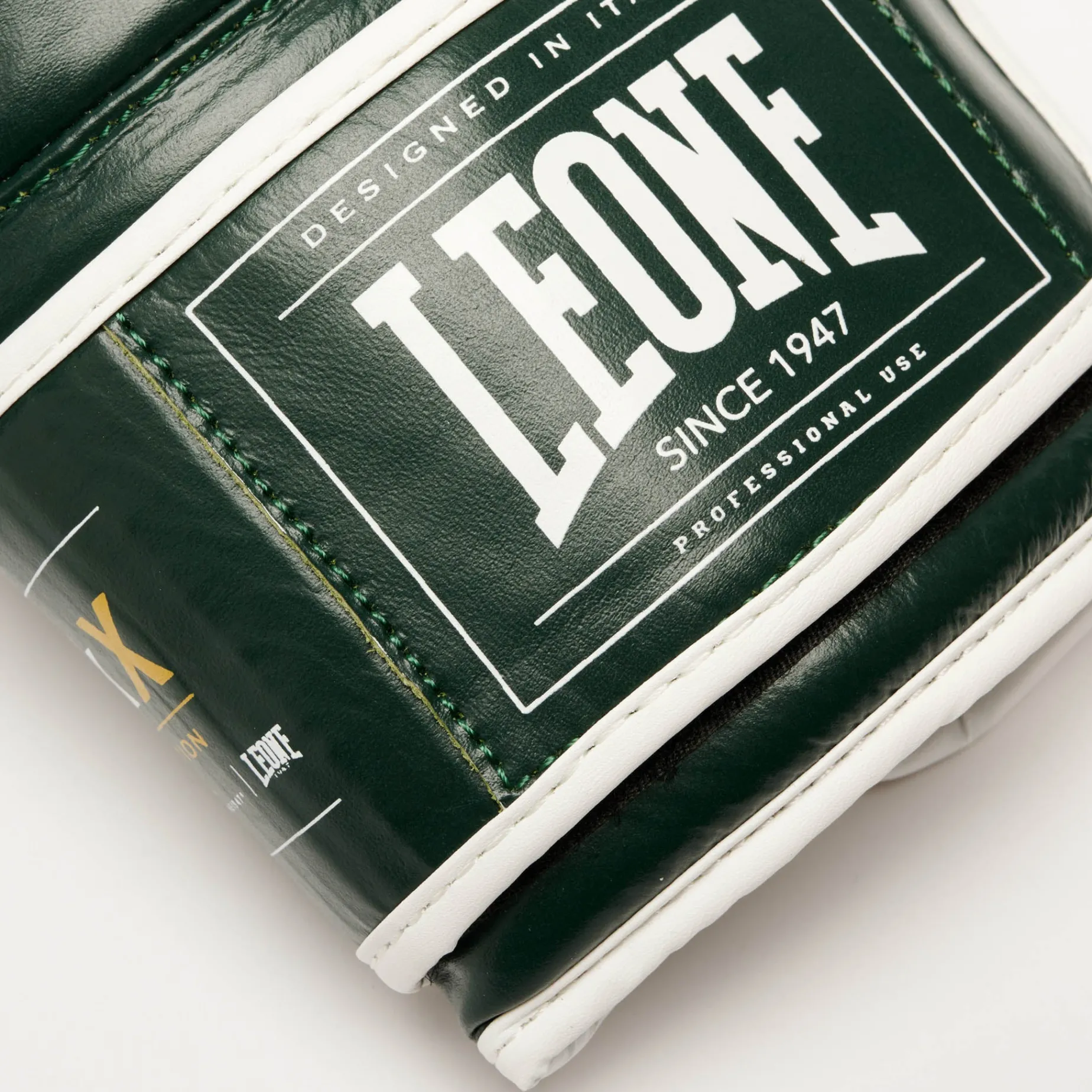 SHOCK X BOXING GLOVES