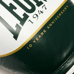 SHOCK X BOXING GLOVES