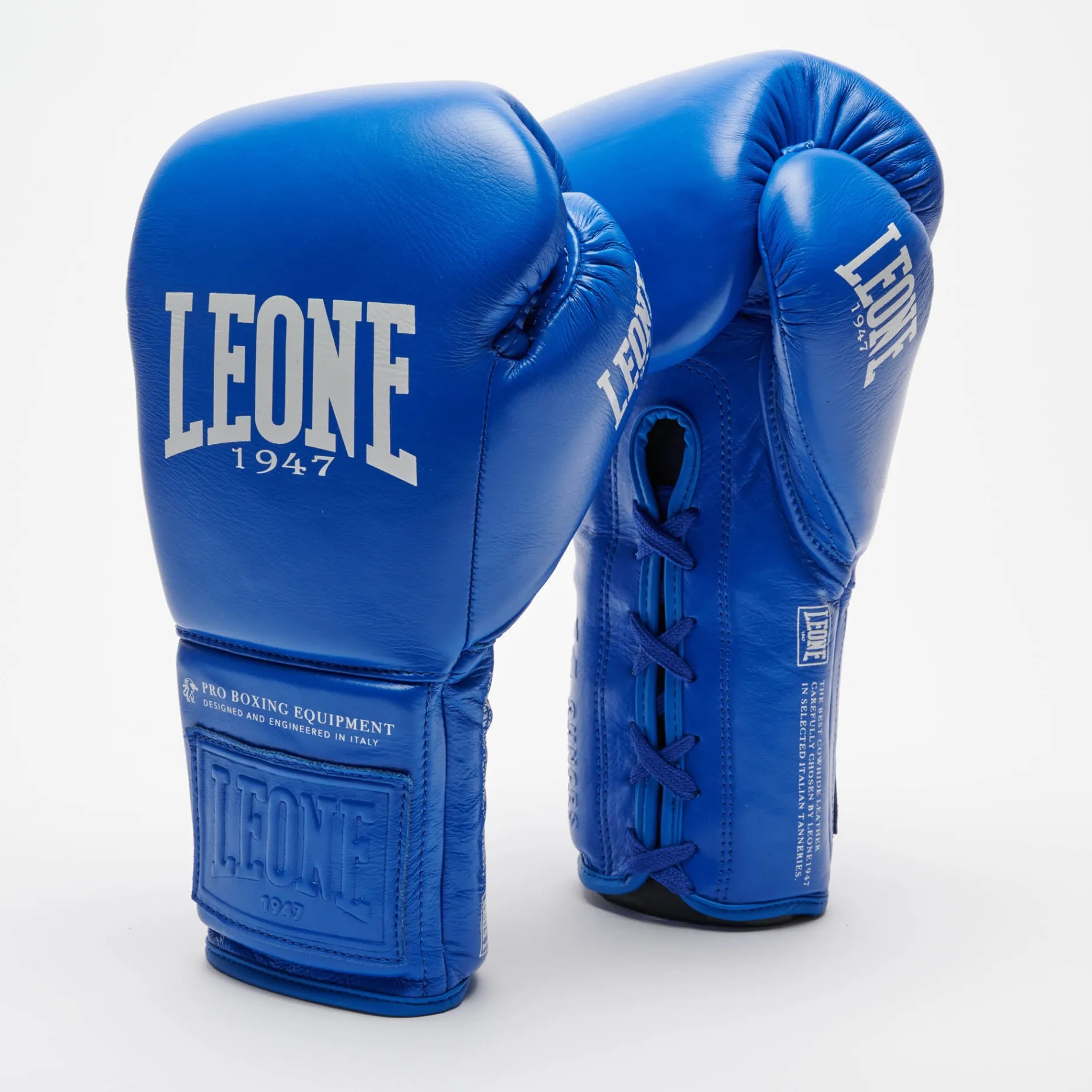 THE GREATEST BOXING GLOVES