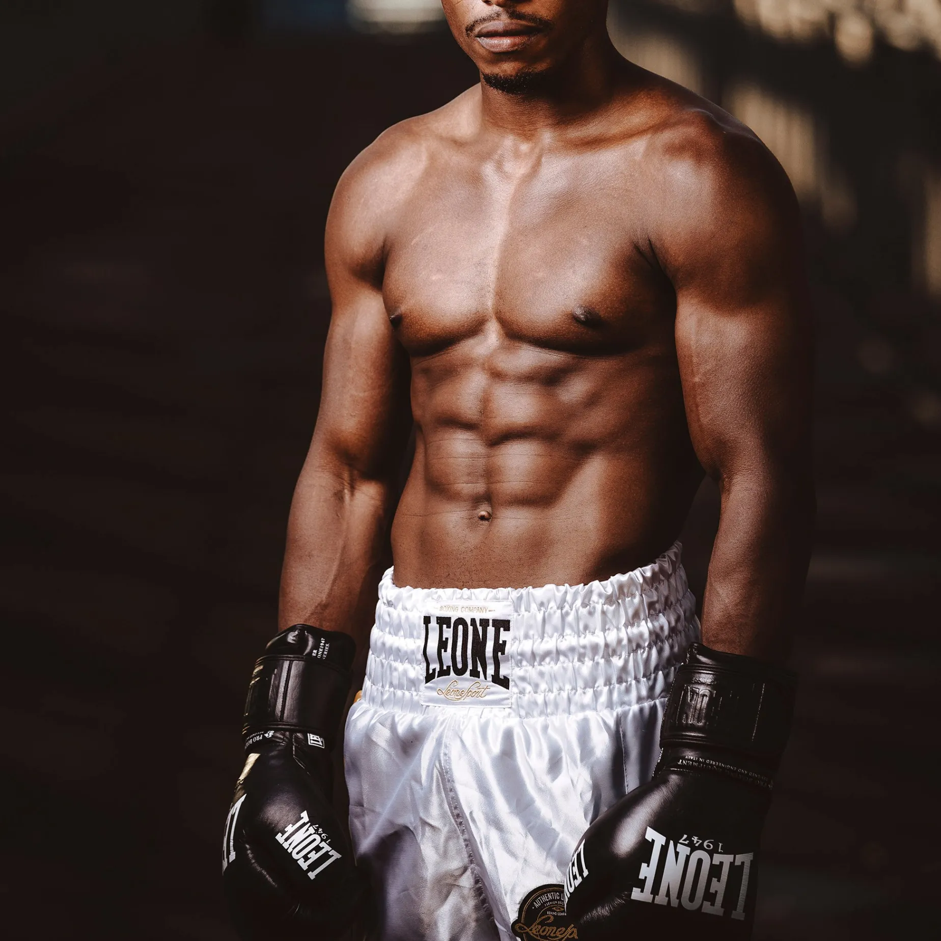 THE GREATEST BOXING GLOVES