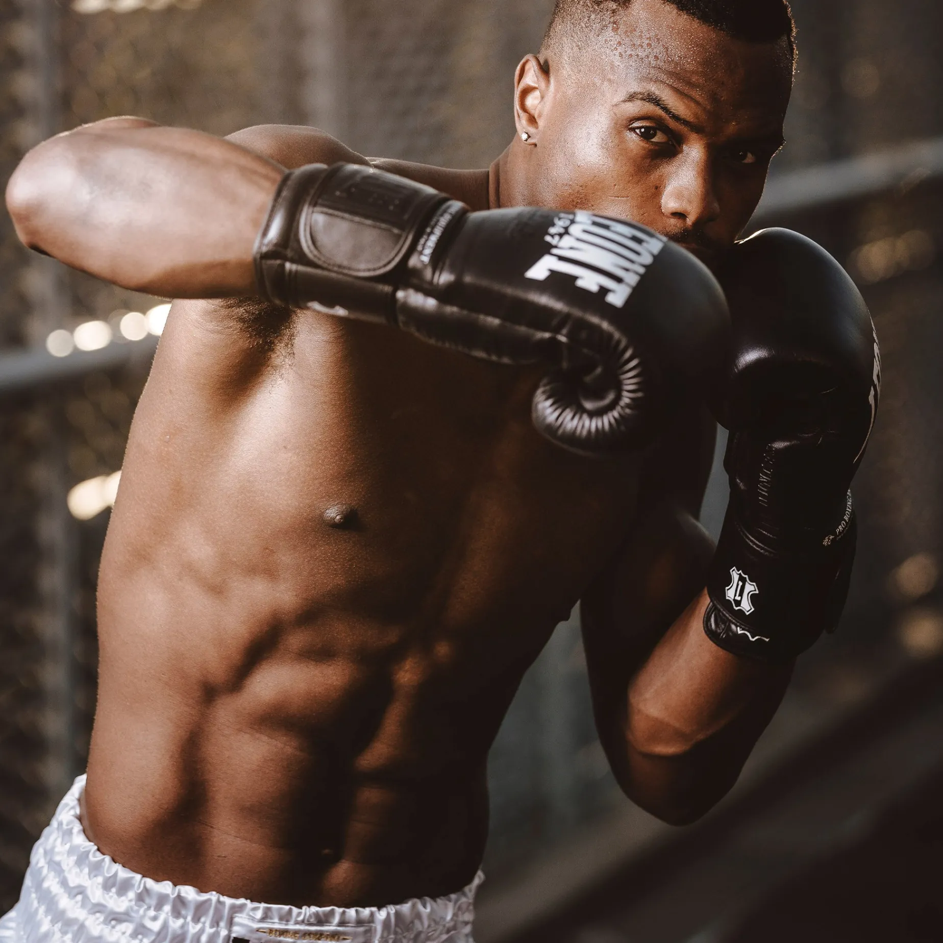THE GREATEST BOXING GLOVES